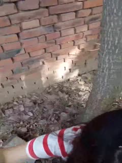 自拍炫耀大于认真吸屌先拍到完美为止才认真